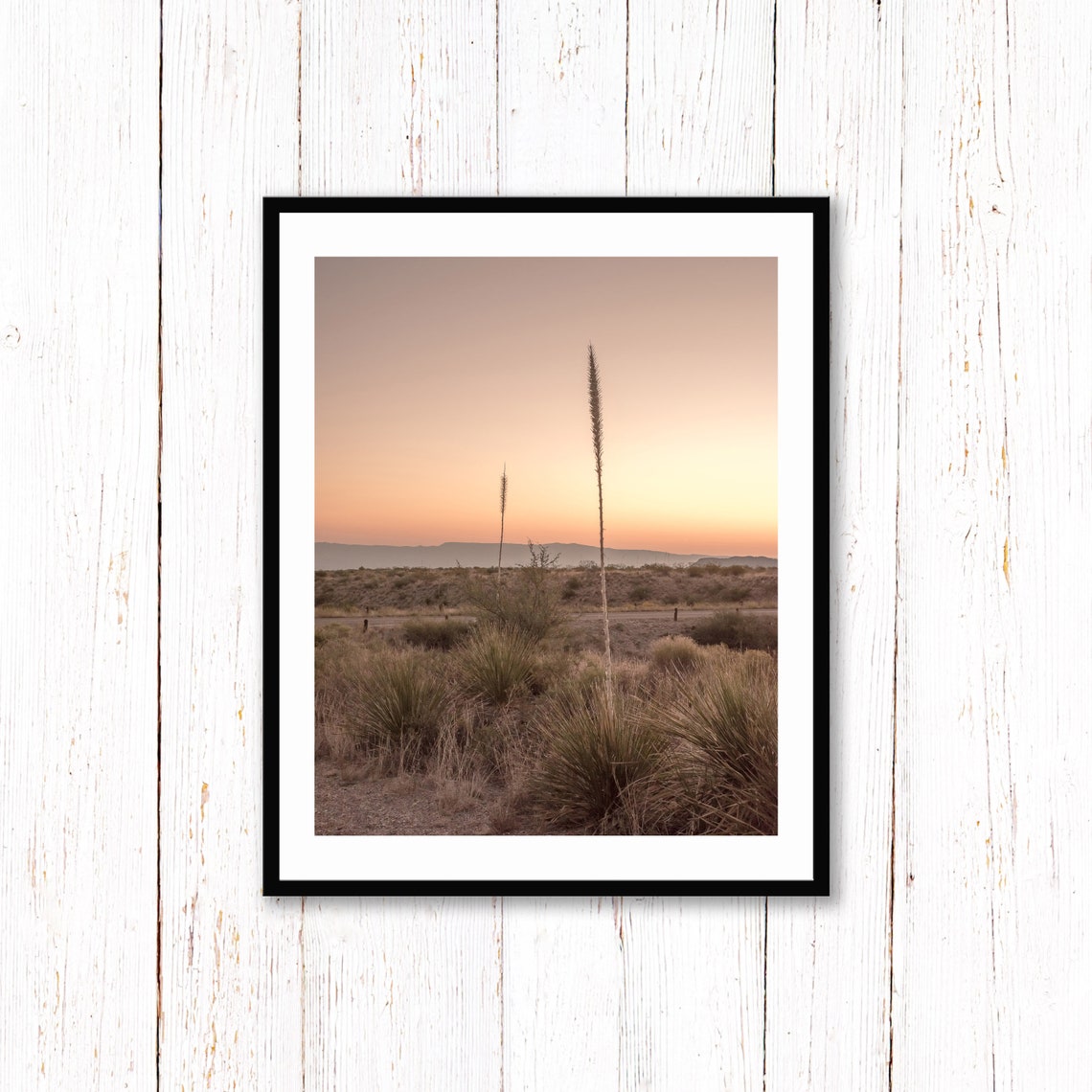 Desert Yucca Plants Silhouetted at Sunset Pink Sky Photography Poster - Image 2
