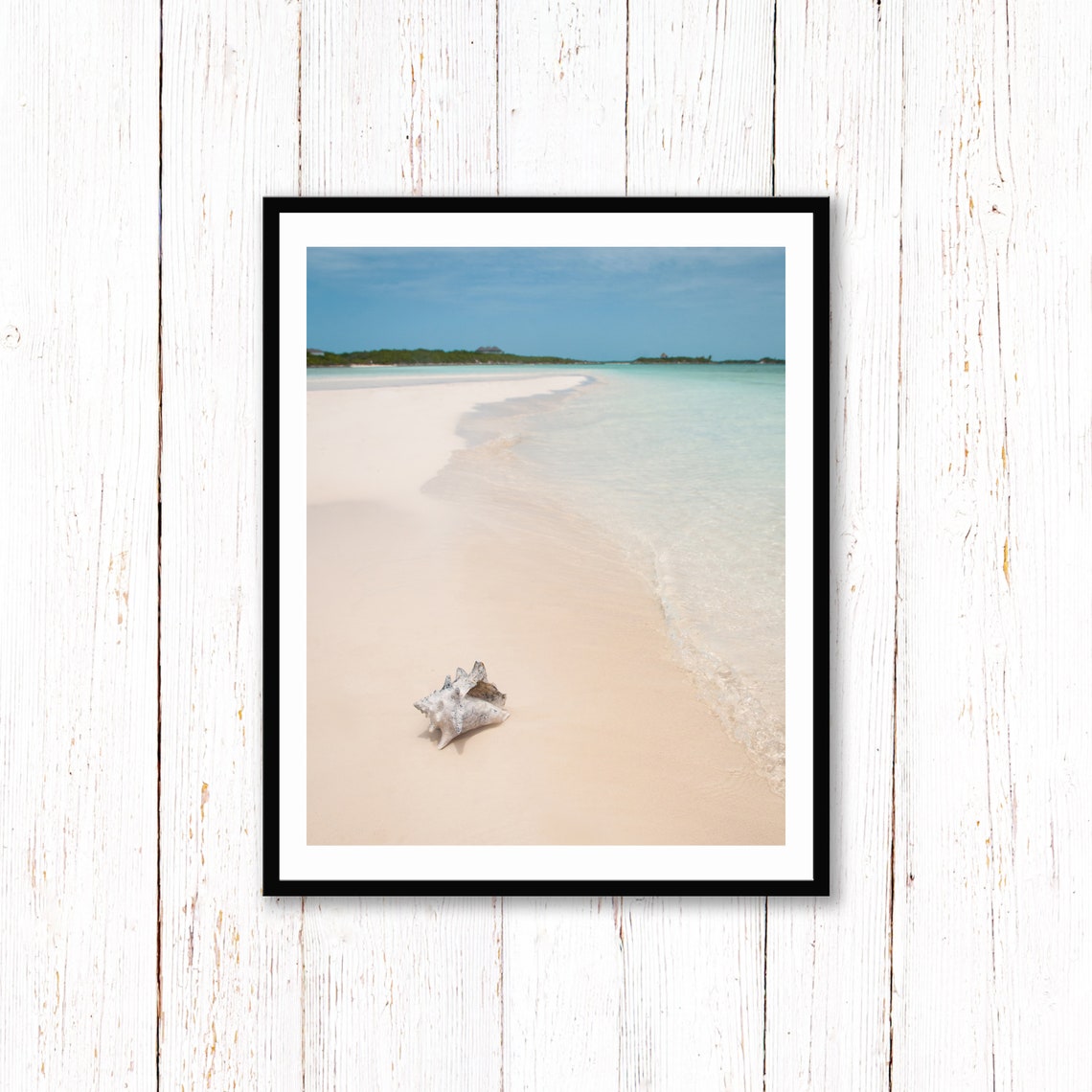 Conch Shell Sandbar Turquoise Shallows White Beach Photo Poster - Image 3