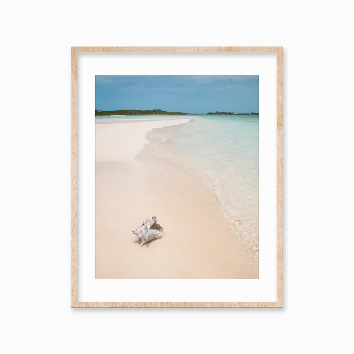 Conch Shell Sandbar Turquoise Shallows White Beach Photo Poster