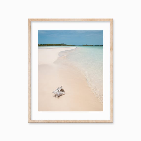 Conch Shell Sandbar Turquoise Shallows White Beach Photo Poster