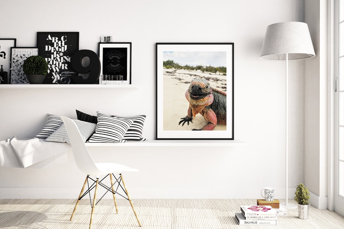 Colorful Iguana Lizard Close Up Portrait on a Sandy Beach Poster - Image 2
