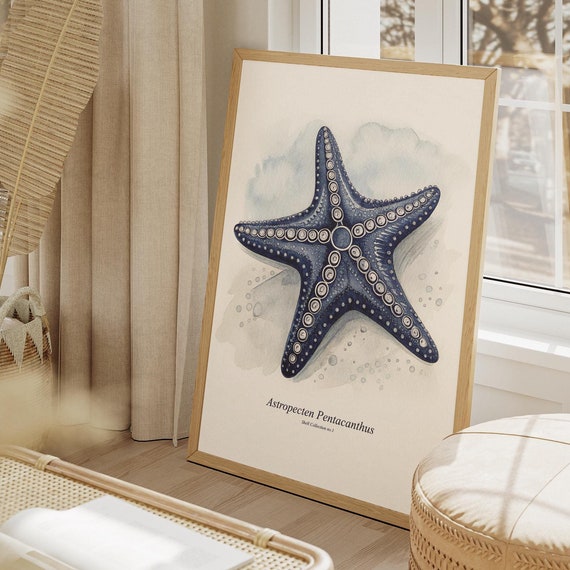 Watercolor Seashell Art Print, Coastal Antique Sketch