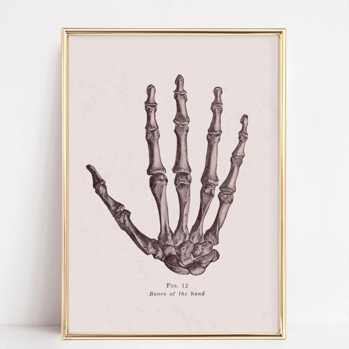 Vintage Anatomy Hand Skeleton Bones Of The Hand Figure 12 Poster