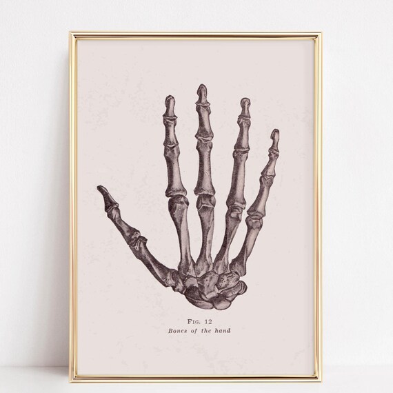 Vintage Anatomy Hand Skeleton Bones Of The Hand Figure 12 Poster
