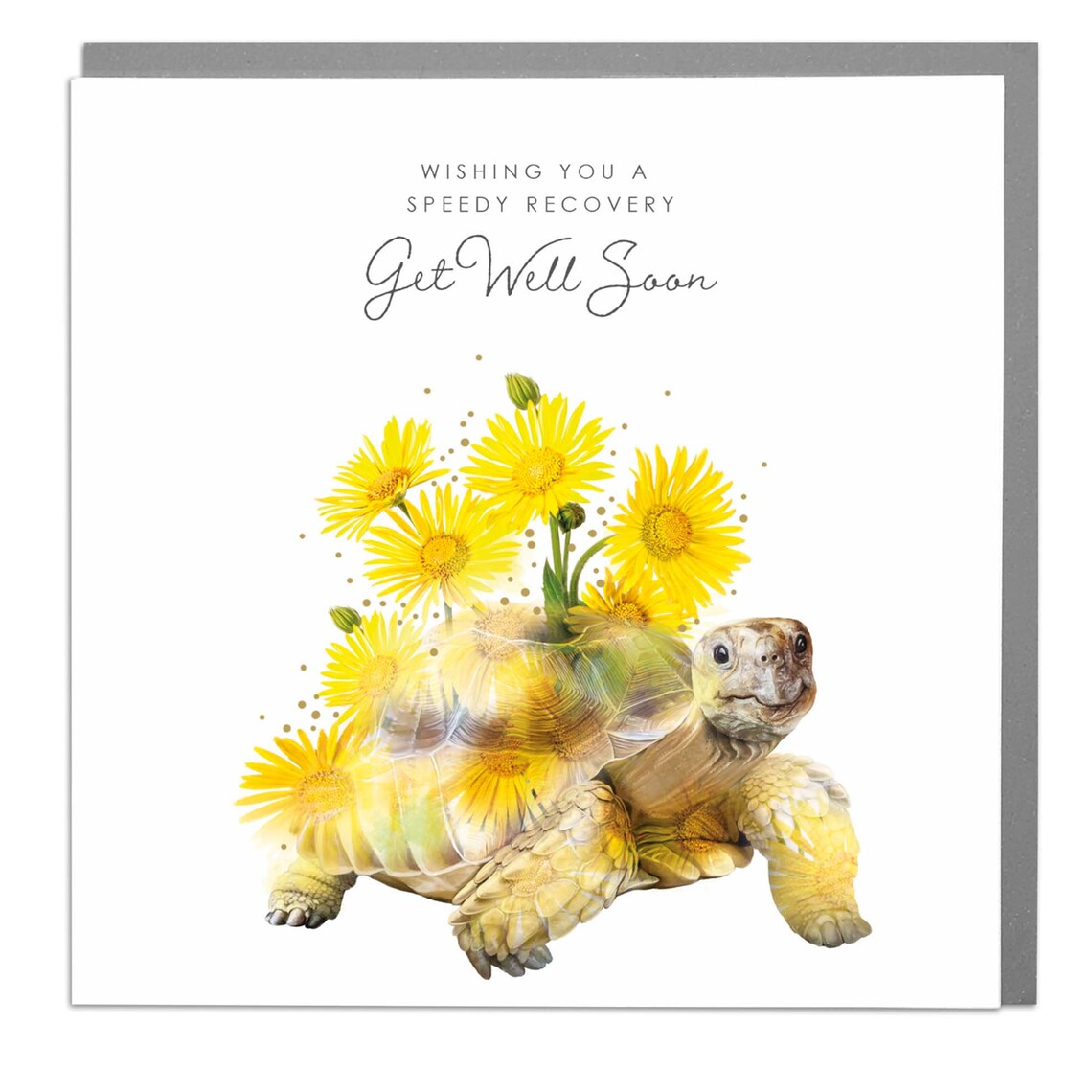 Get Well Soon Tortoise, Lola Design Art Print