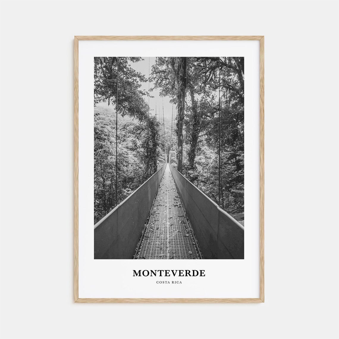 Monteverde Costa Rica Cloud Forest Hanging Bridge Photo Poster