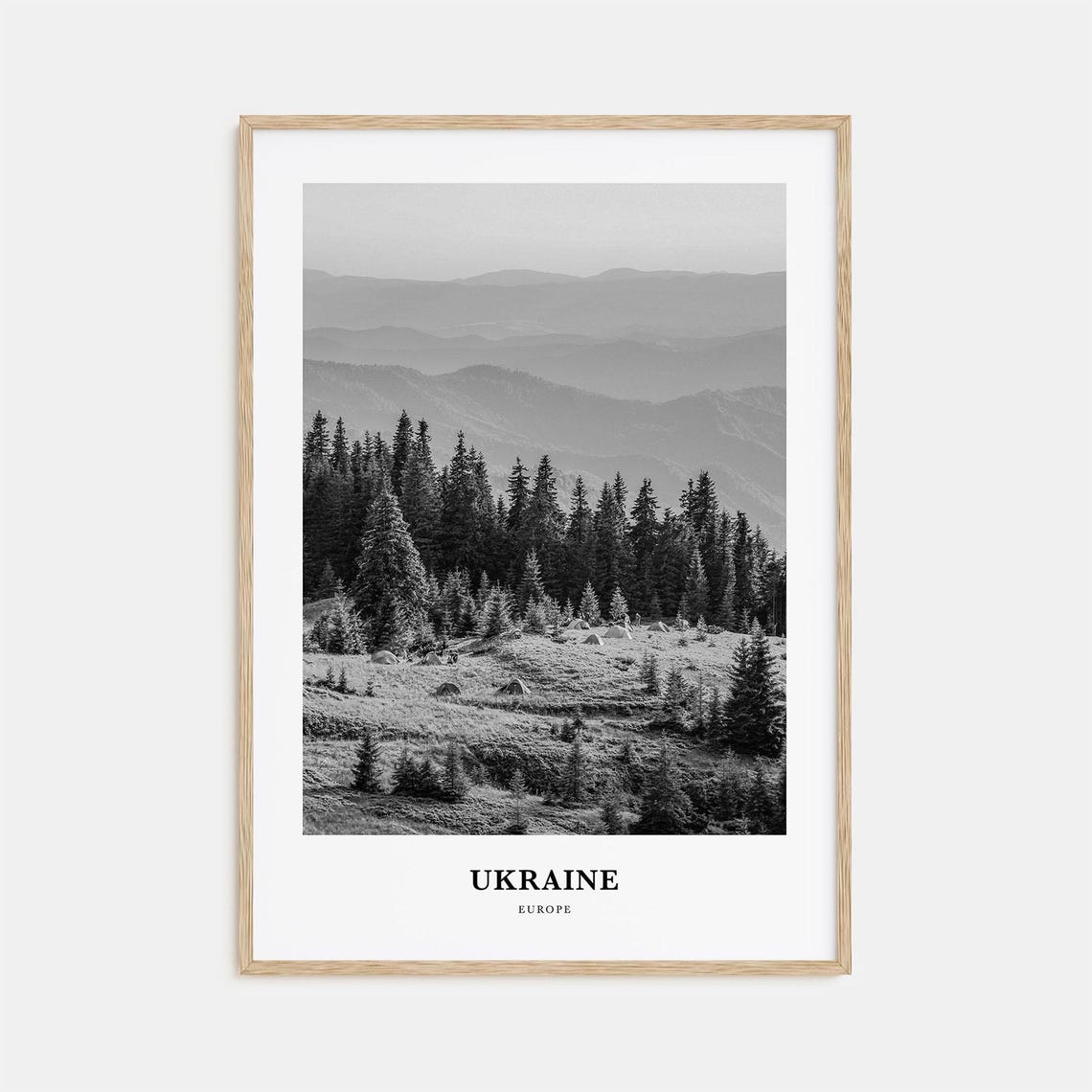 Ukraine Europe Pine Forest Mountain Mist Black and White Poster