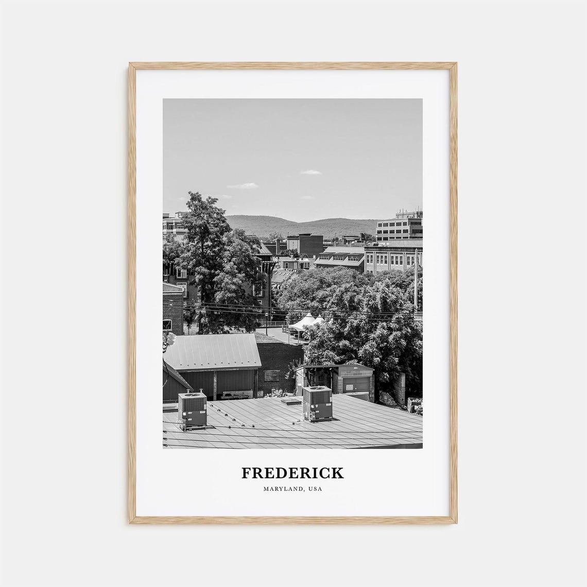 Frederick Maryland Downtown Rooftops Distant Mountain Vista Poster