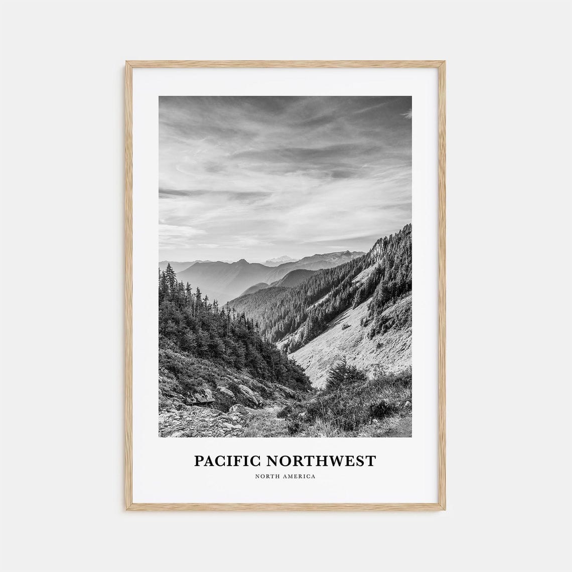Pacific Northwest Mountain Forest Valley Black and White Travel Poster