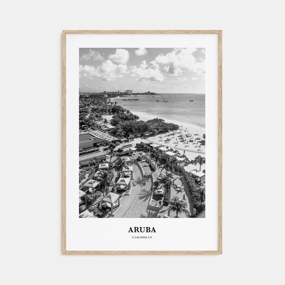 Aruba Caribbean Aerial Beach Resort Palms Black and White Poster