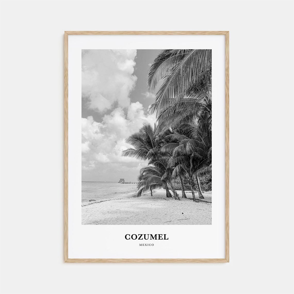 Cozumel Mexico Palm Beach Pier Black and White Travel Poster