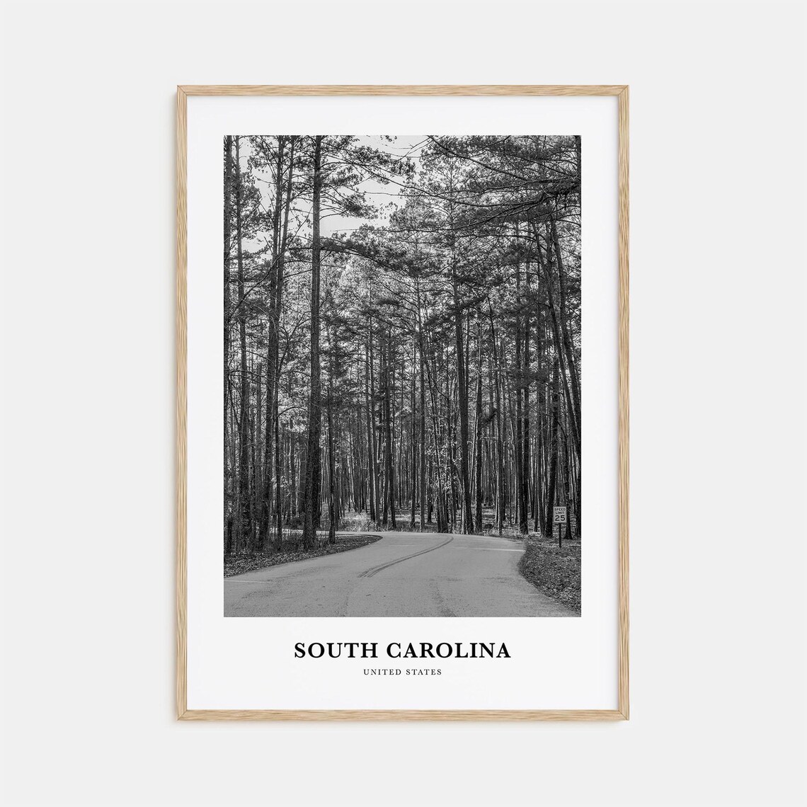 South Carolina Pine Forest Country Road Black White Photo Poster