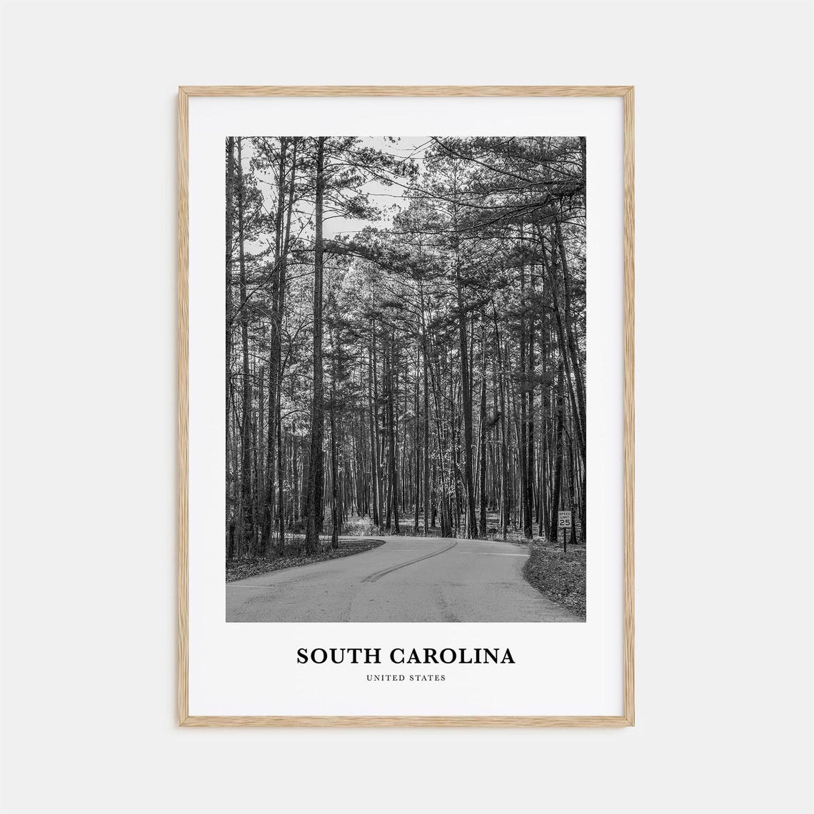South Carolina Wall Art South Carolina Wall Decor South Carolina Poster South Carolina Home Decor South Carolina Travel Gift Travel