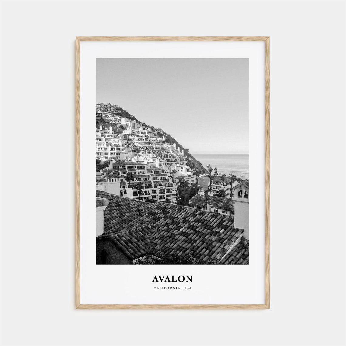 Avalon California Catalina Hillside Town Black and White Poster