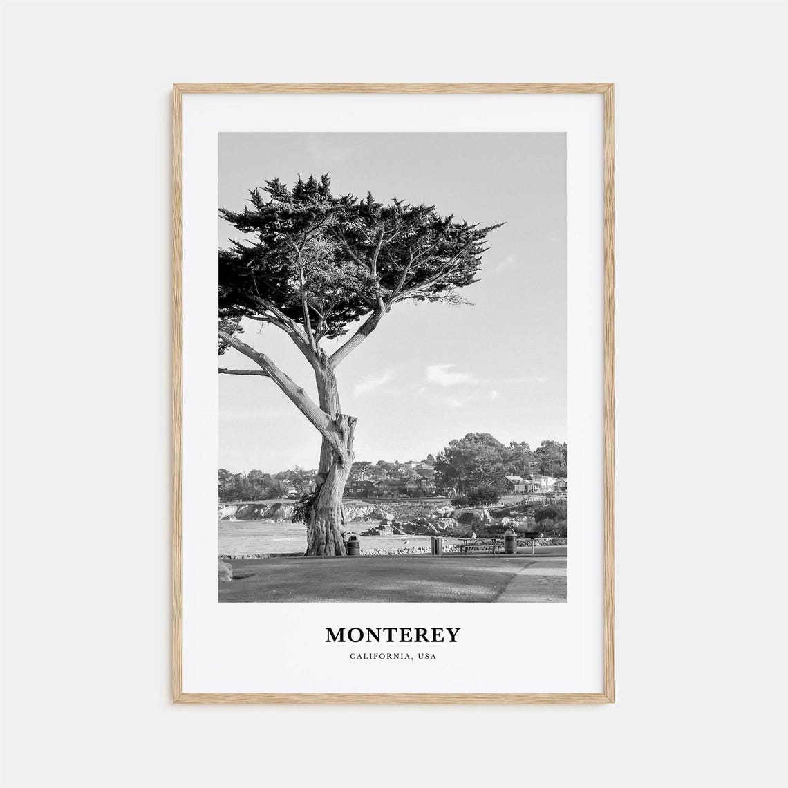 Monterey California Coastal Cypress Tree Ocean Shore Photo Poster