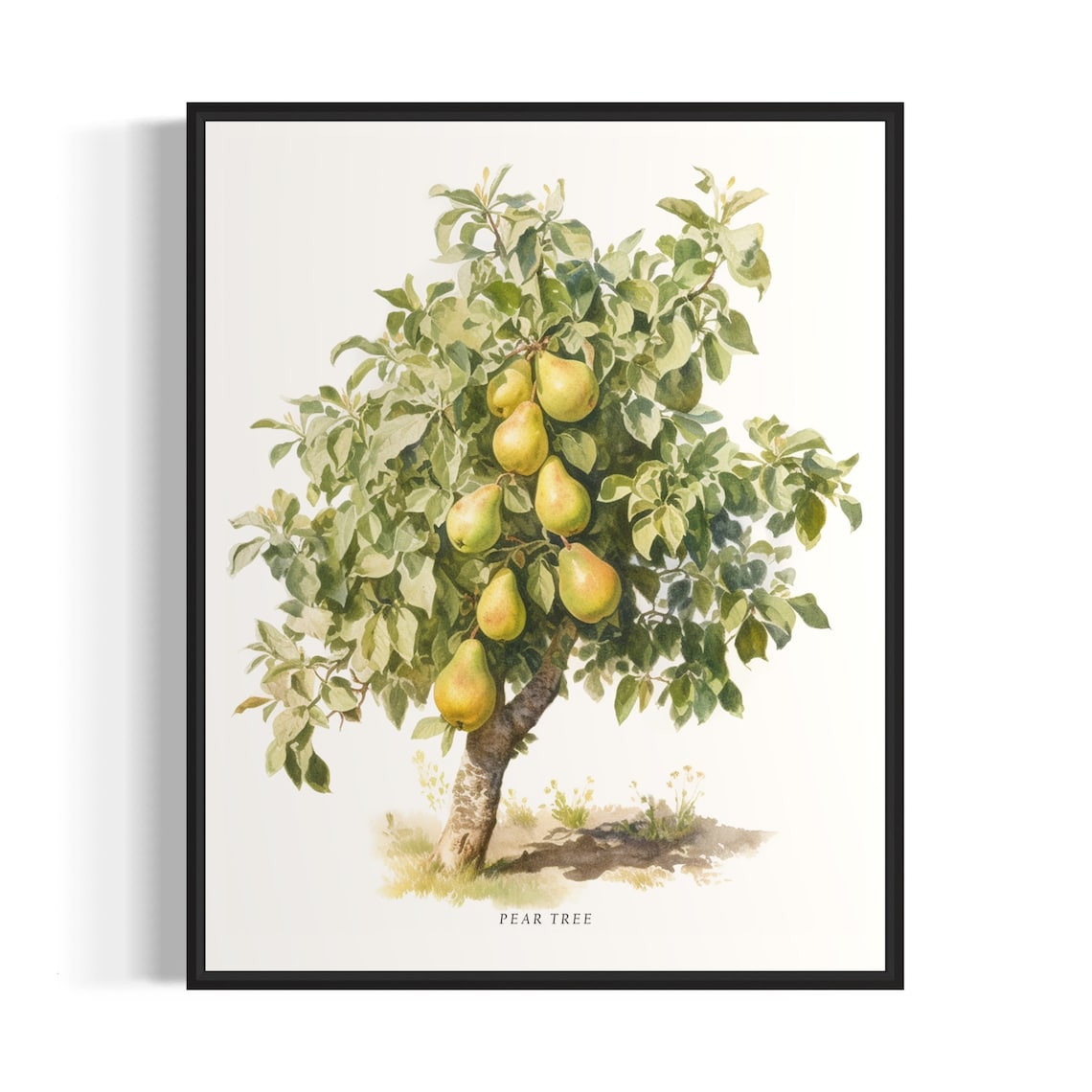 Pear Tree Art Print, Nature-Inspired Wall Art