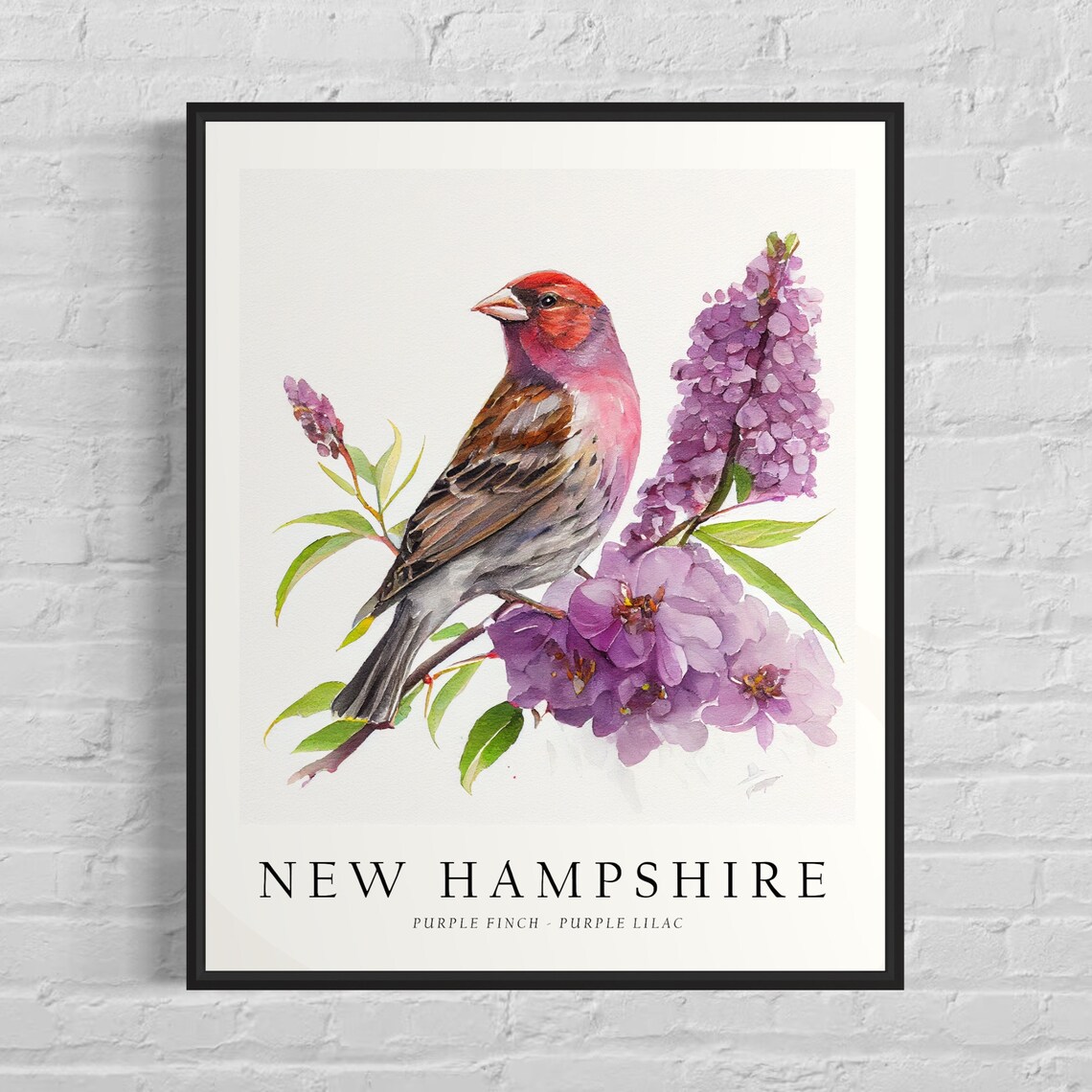New Hampshire State Bird Art Print, Home Decor