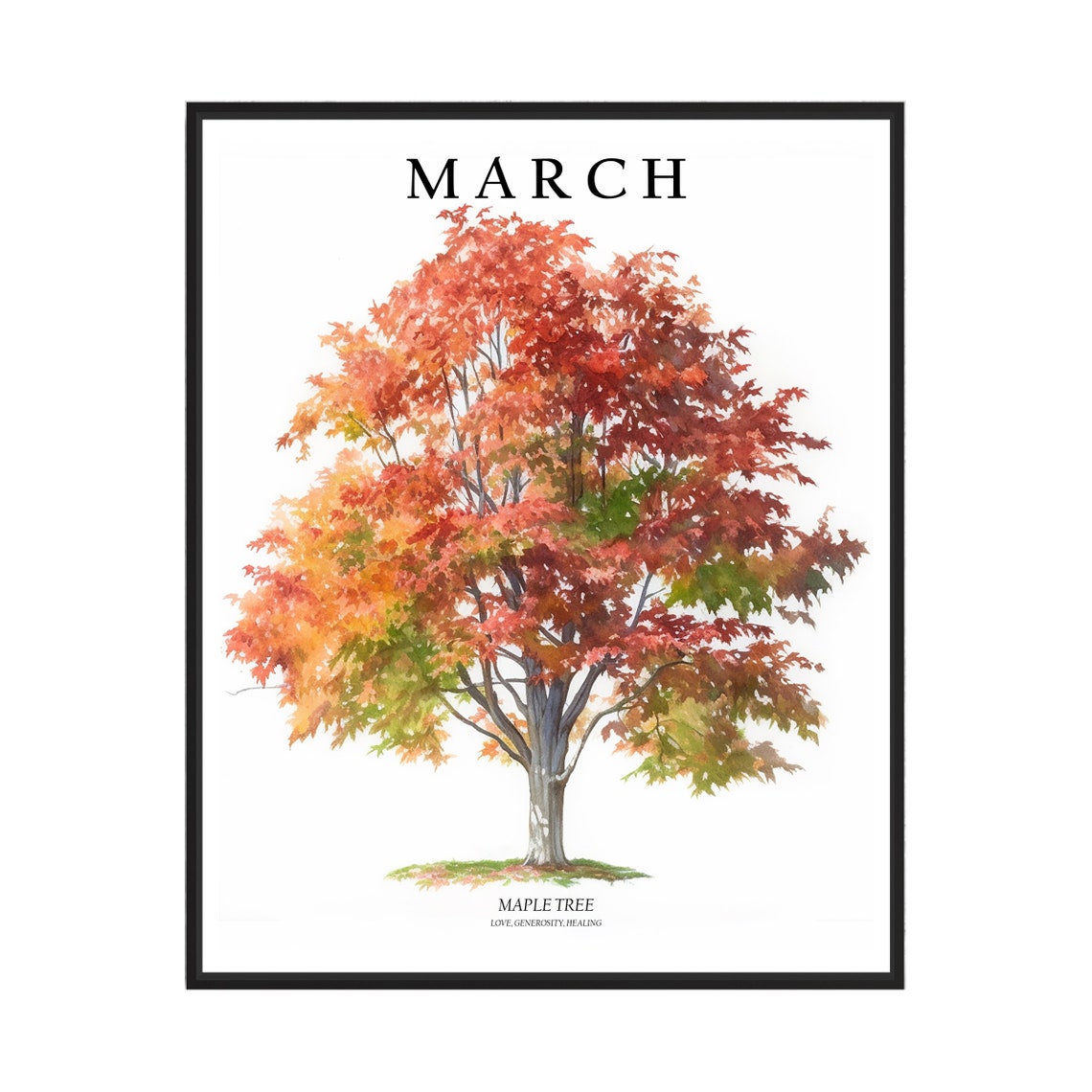 March Tree Month Maple Tree Art Print Maple Tree Wall Art Poster