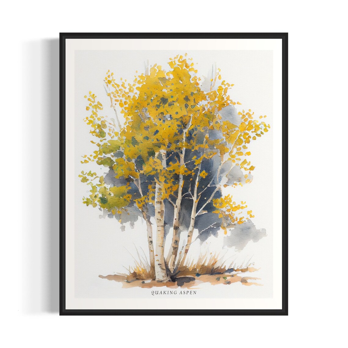 Quaking Aspen Tree Art Print, Nature Wall Decor