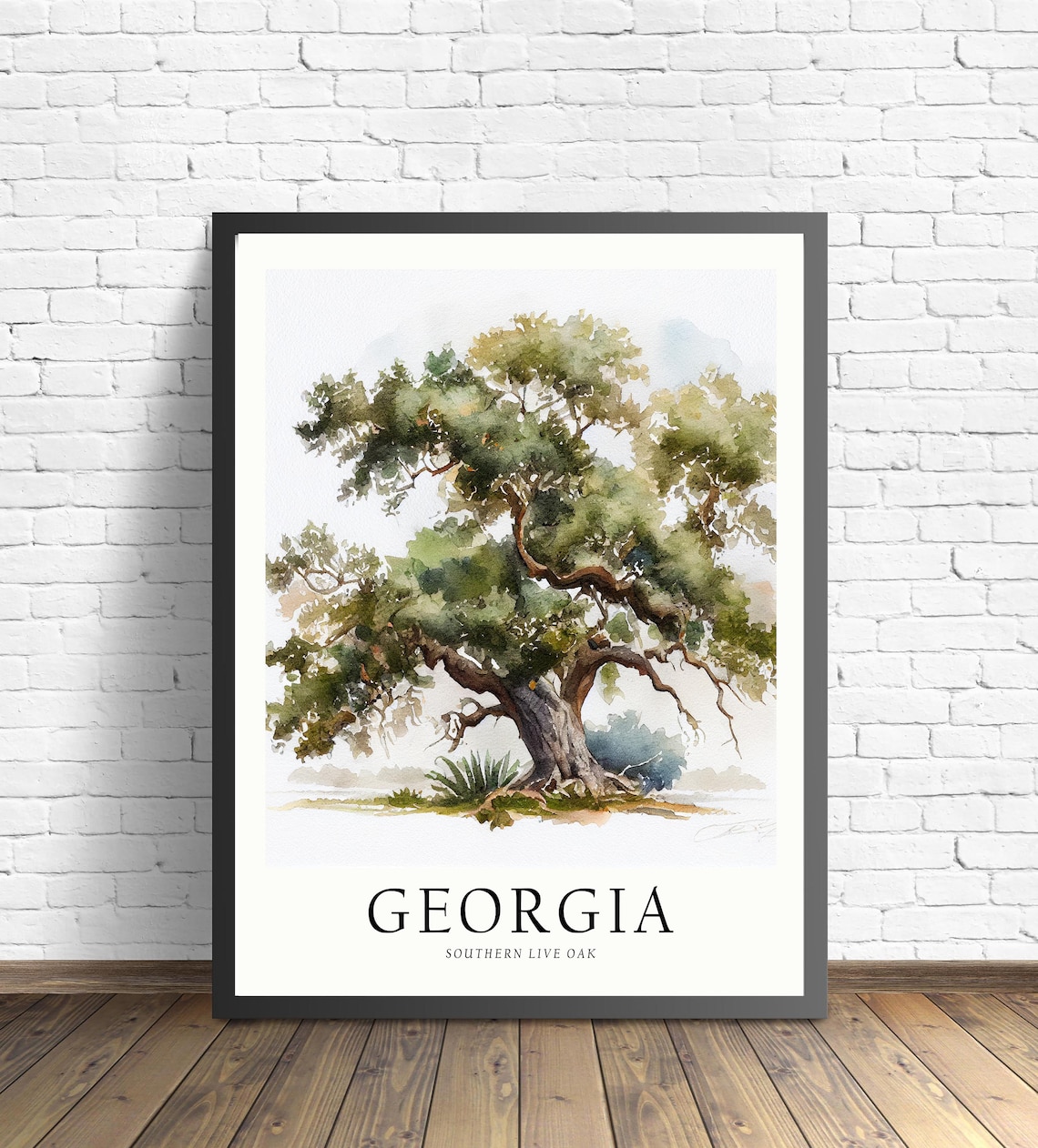 Georgia State Tree Southern Live Oak Art Print