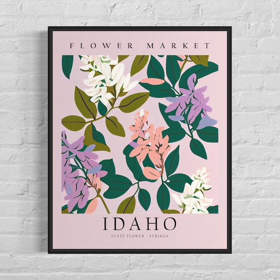 Idaho State Flower Syringa, Neutral Botanical Art Print