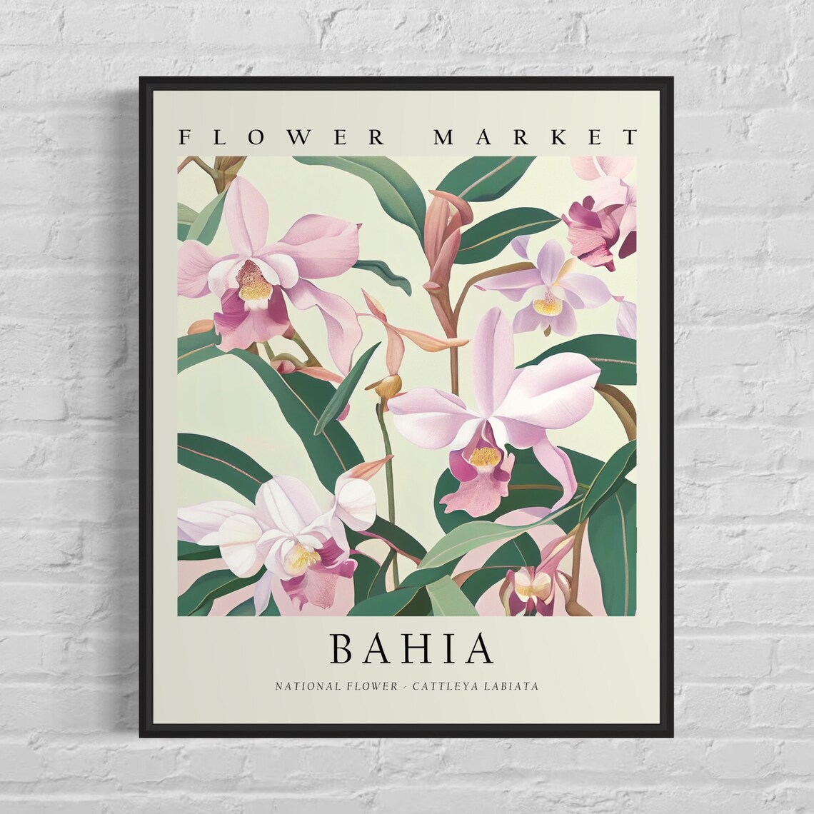 Bahia Flower Market Vintage Pink Cattleya Orchid Botanical Poster