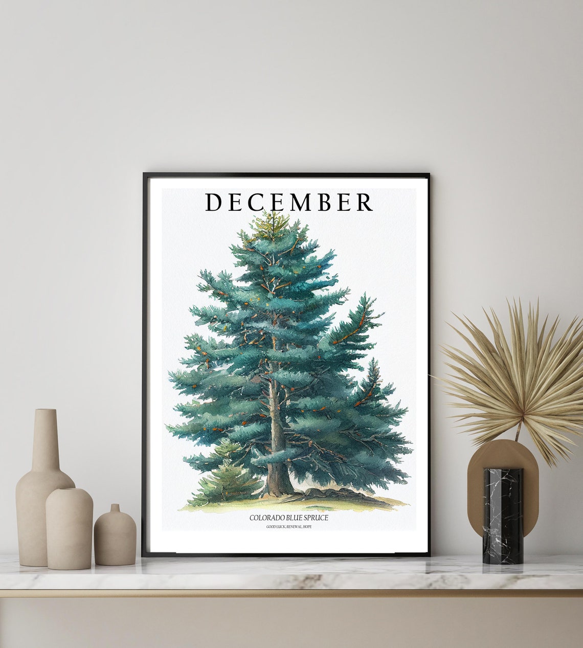 December Colorado Blue Spruce Tree Watercolor Botanical Poster - Image 2