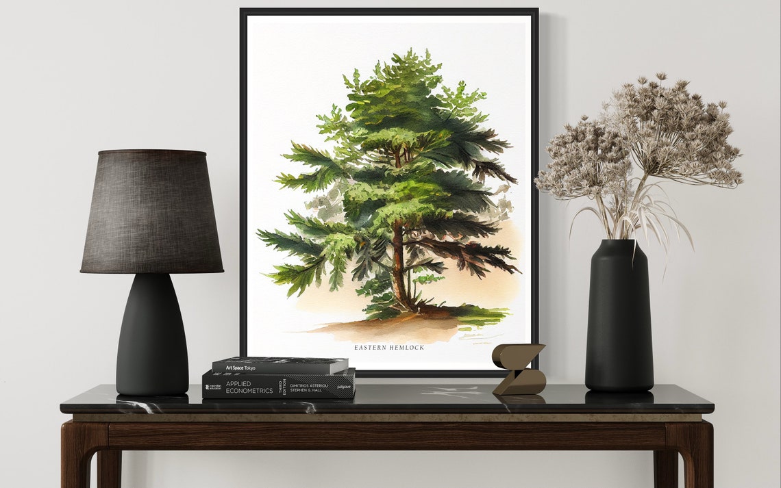 Eastern Hemlock Tree Art Print Eastern Hemlock Tree Wall Art Poster - Image 3