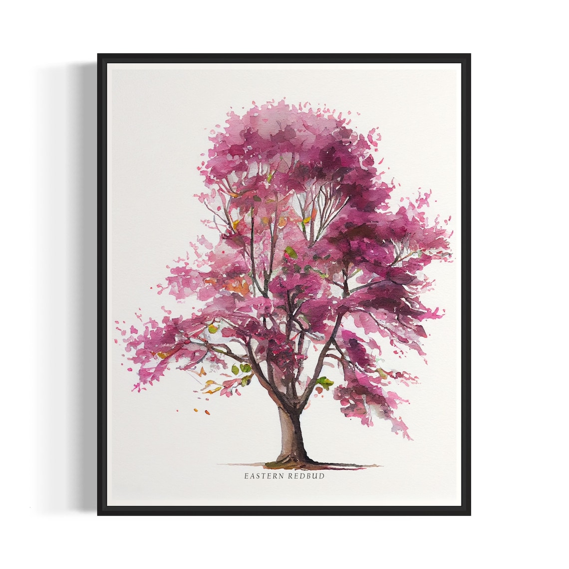 Eastern Redbud Tree Art Print, Botanical Wall Decor