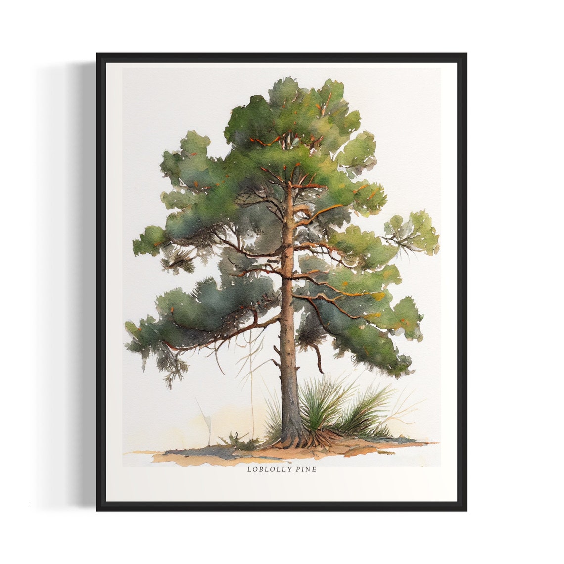 Loblolly Pine Tree Art Print Loblolly Pine Tree Wall Art Poster