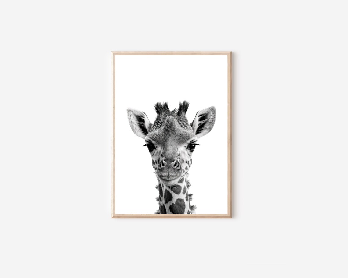 Black And White Baby Giraffe Front Facing Portrait Nursery Wall Art - Image 4