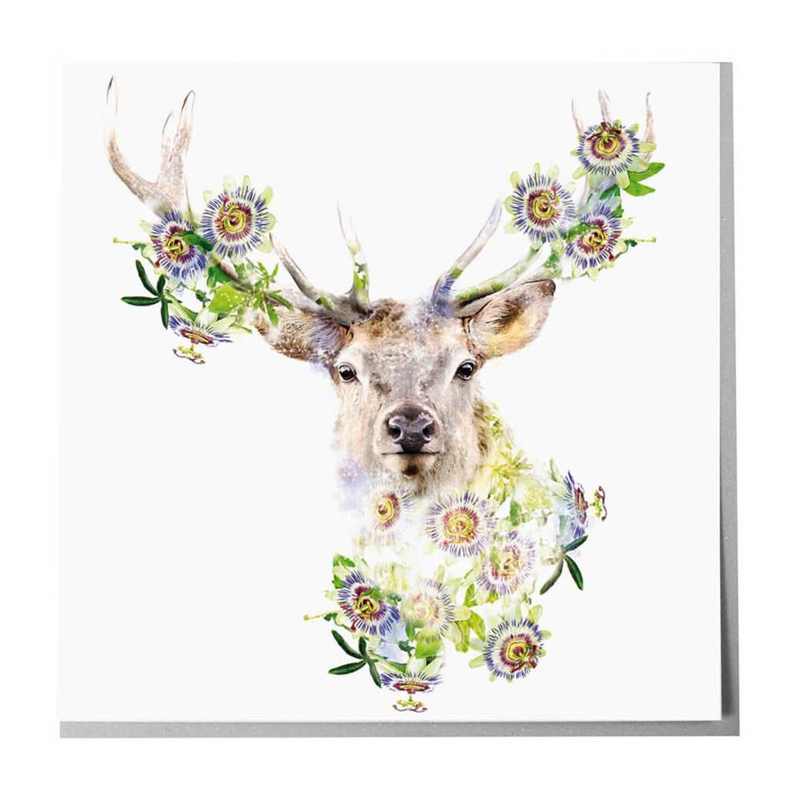 Stag Birthday Card, British Wildlife