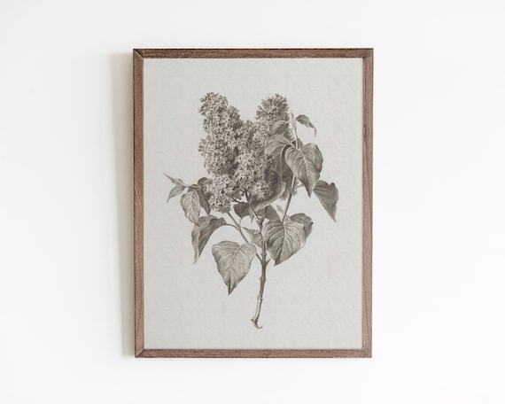 Lilac Print, Vintage Farmhouse Floral Art Print