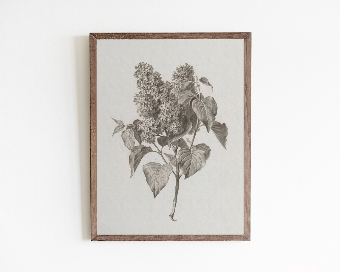 Lilac Print, Vintage Farmhouse Floral Art Print