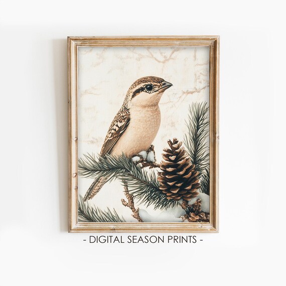 Songbird on a Snowy Pine Branch with Pinecones Vintage Winter Poster