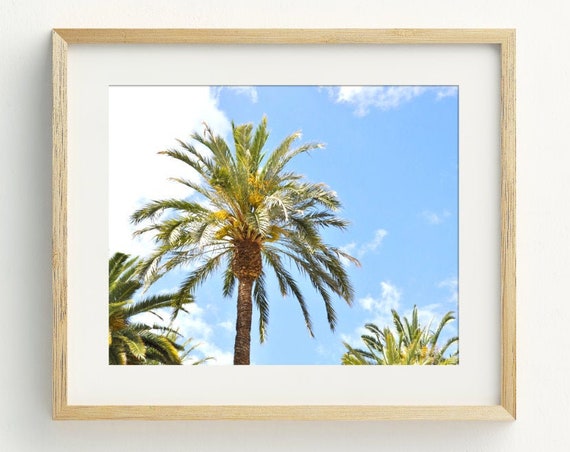 Palm Tree Art Print Palm Tree Wall Art Beach Decor Coastal Wall Art Beach Decor 5x7 8x10 11x14