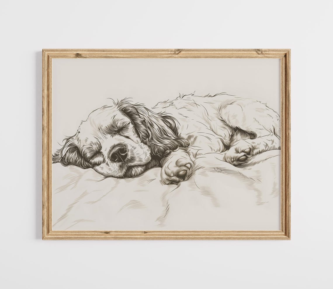 Sleeping Cocker Spaniel Sketch Cozy Dog Portrait Farmhouse Wall Art