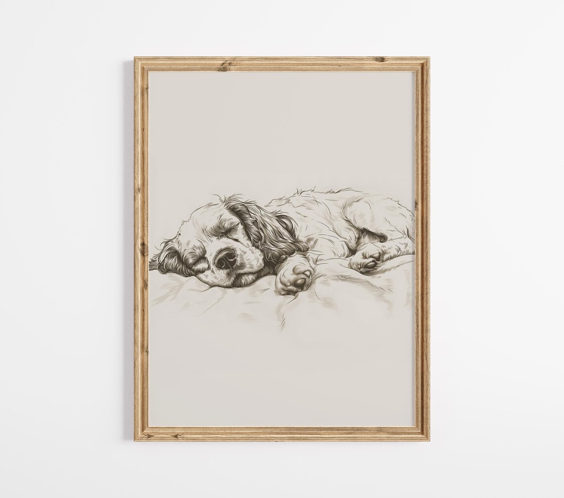 Sleeping Cocker Spaniel Sketch Vintage Dog Portrait