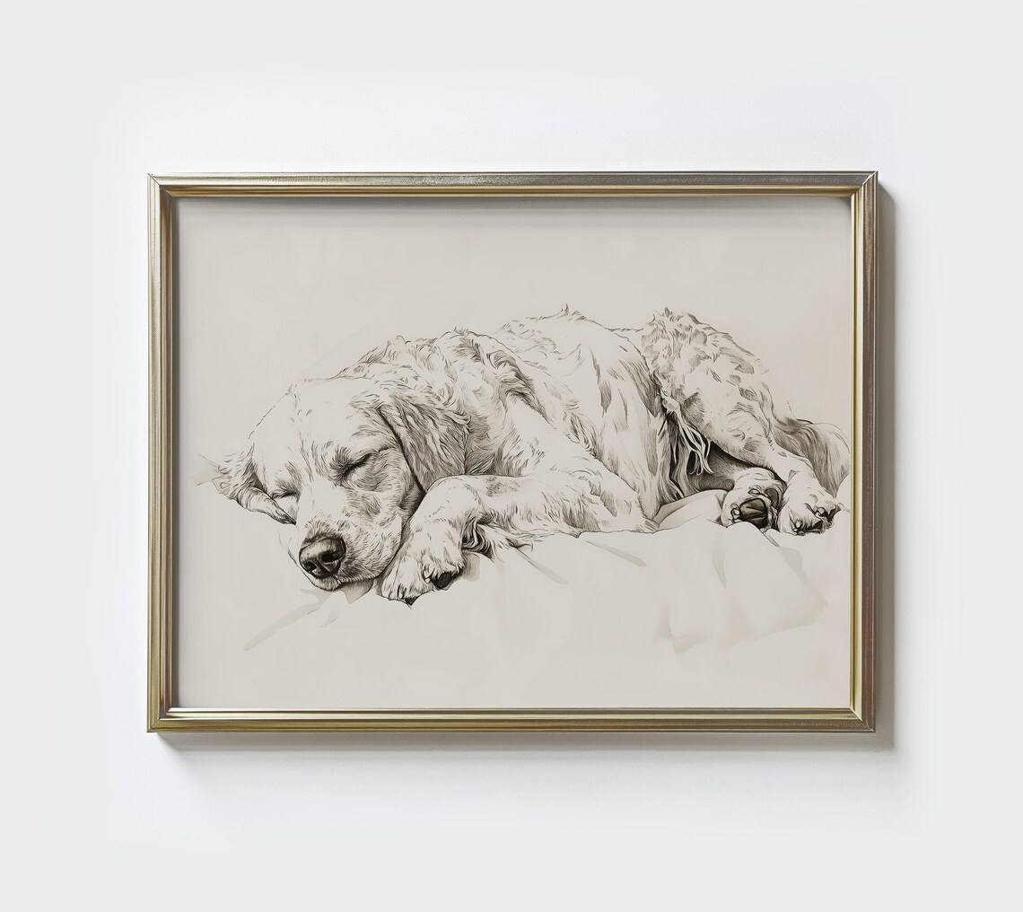 Golden Retriever Sketch Print, Vintage Dog Portrait