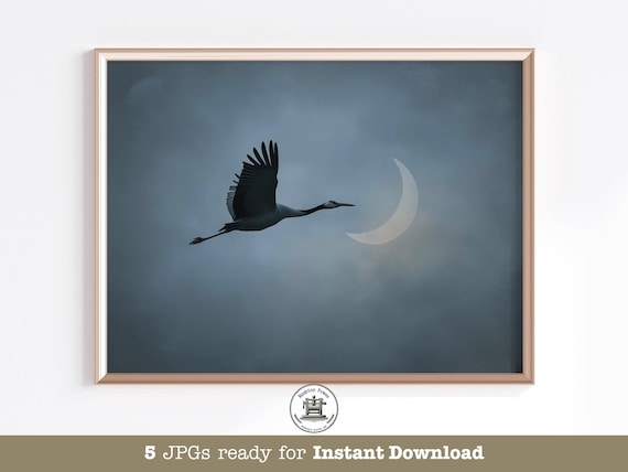 Japandi Crane Print Minimalist Moon Wabi Sabi Wall Art