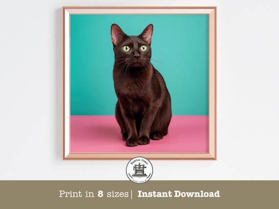 Chocolate Brown Cat Pop Art Portrait Teal Background Pet Poster