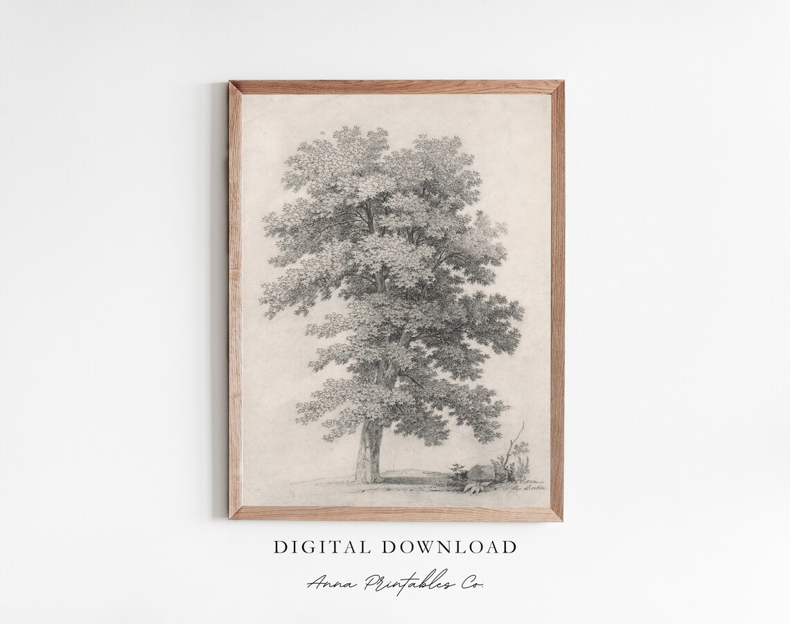 Antique Tree Etching, Farmhouse Art Print