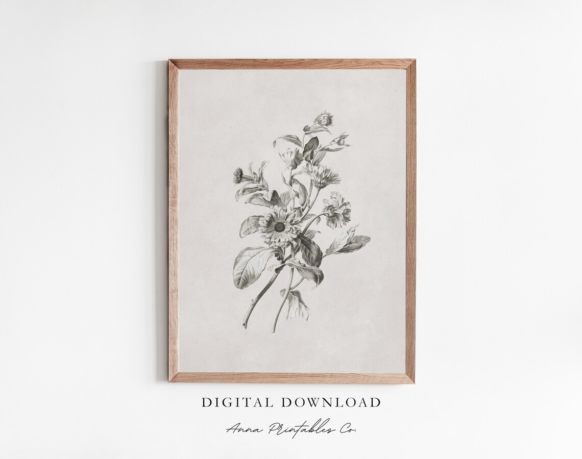 Antique Floral Etching Botanical Vintage Flower Drawing Poster