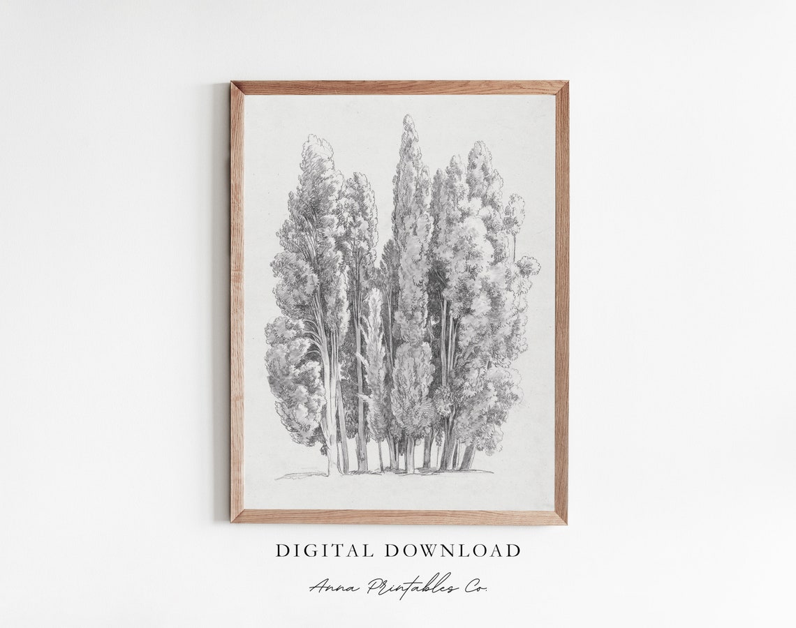 Copse Vintage Tree Sketch For Copse Of Trees Charcoal Drawing Wall Art Rustic Farmhouse Decor Art Prints