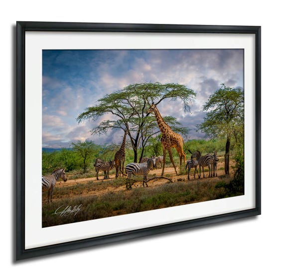 Maximalist Safari Wall Art Giraffe And Zebra Scene Colorful Boho