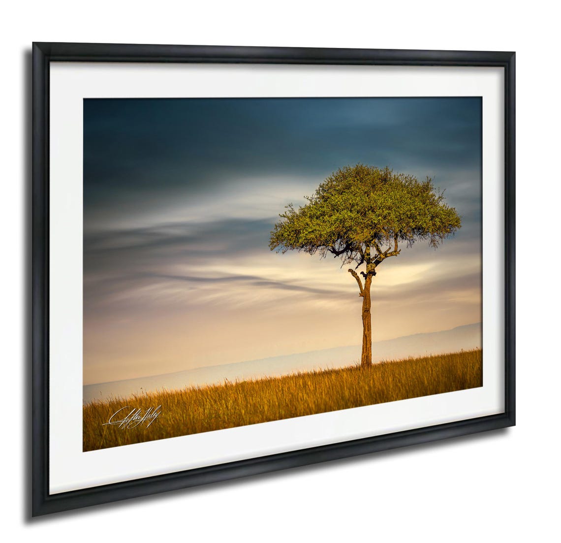 Lone Acacia Tree At Sunset African Savanna Landscape Photo Poster