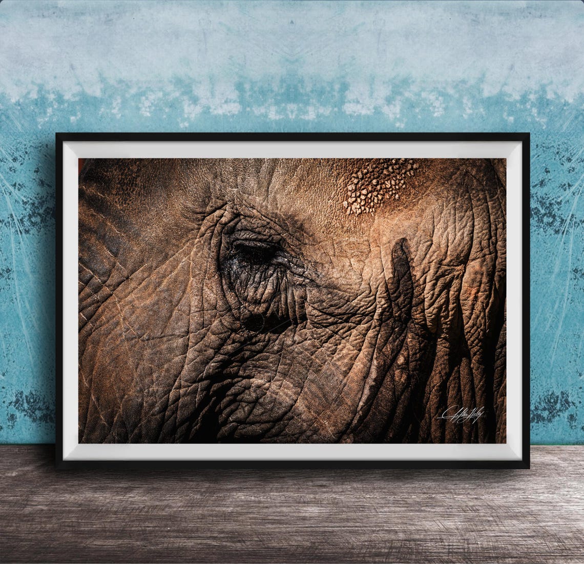 Elephant Wall Art Textured Hide Wildlife Safari Exotic Trunk Print