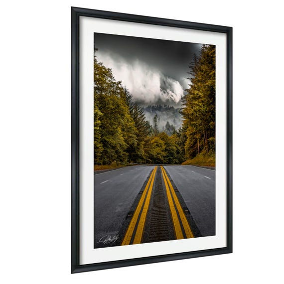 Redwood Forest Canvas Print Foggy Mountain Road Morning
