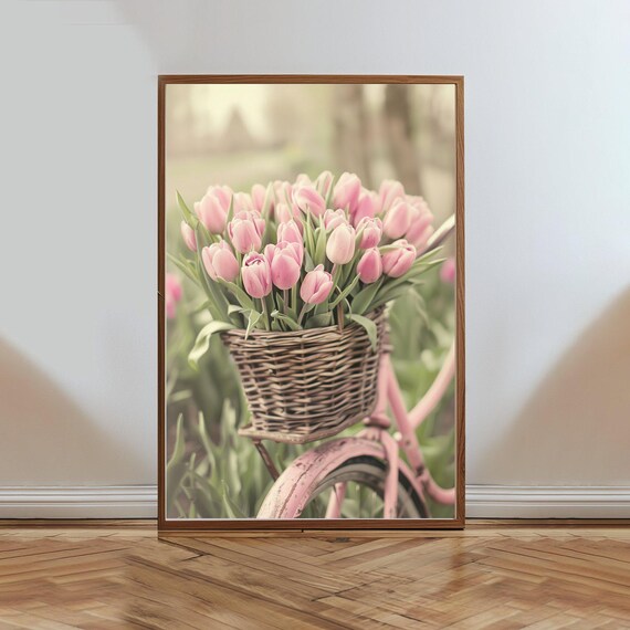 Pink Tulips In Wicker Basket On Vintage Bicycle Spring Poster