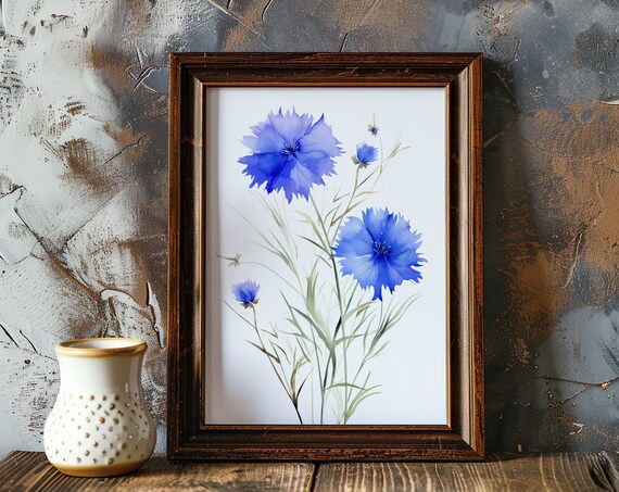 Blue Cornflowers Watercolor Wildflower Stems Farmhouse Floral Art Poster